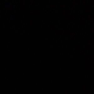 Meet your Posher, Rayziya